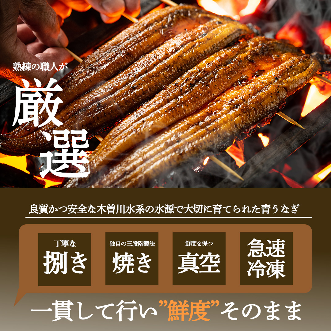 幻の鰻 あお天井の蒲焼き1尾と白焼き1尾のコンビセット（2～3人前）【愛知県東三河産地問屋直送】