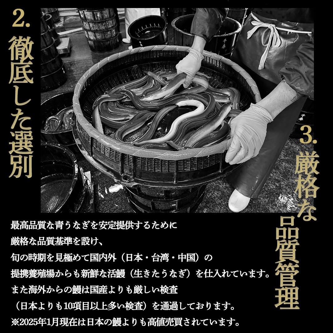 幻の鰻 あお天井の蒲焼き2尾と白焼き1尾のコンビセット（4～5人前）【愛知県東三河産地問屋直送】