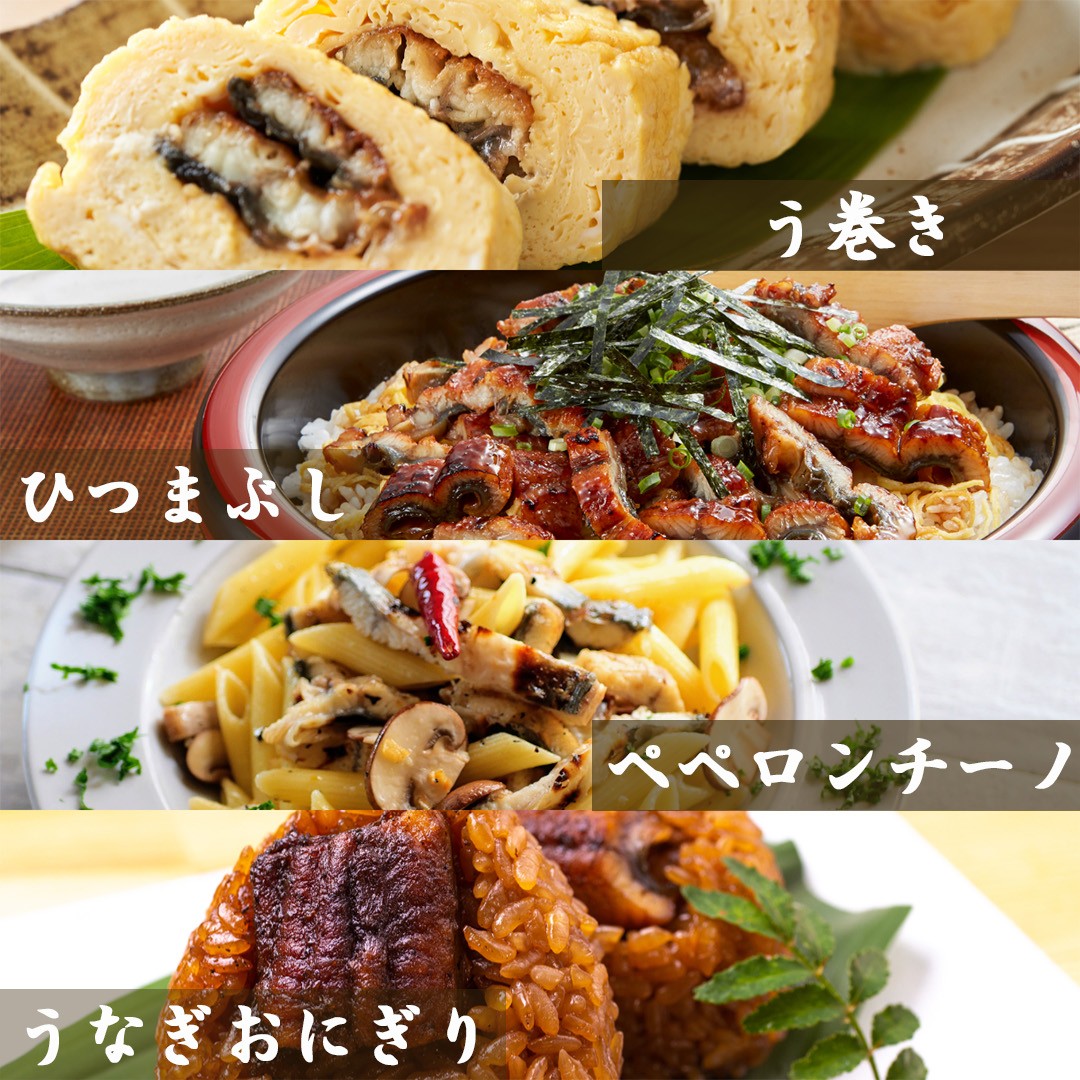 幻の鰻 あお天井の白焼き10尾（11～12人前）【愛知県東三河産地問屋直送】