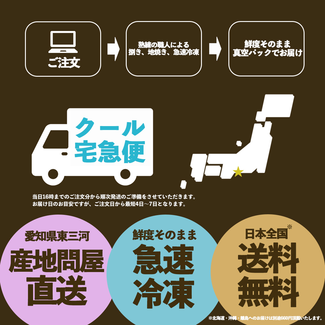 幻の鰻 あお天井の蒲焼き10尾（11～12人前）【愛知県東三河産地問屋直送】