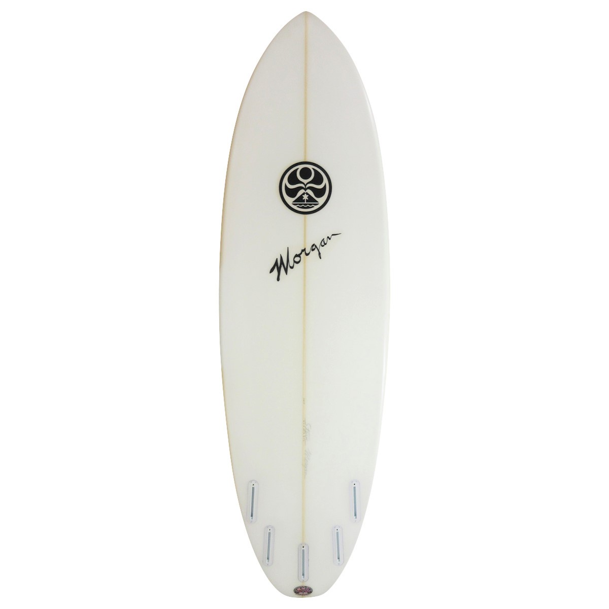 HIC / Z-GLIDE 6`2 Shaped By STEVE MORGAN