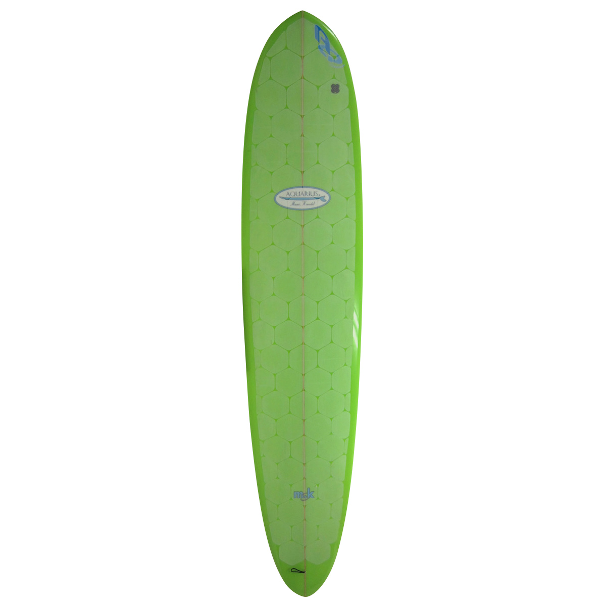AQUARIUS / 9'3 Custom